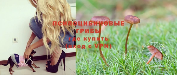 гидропоника Абдулино