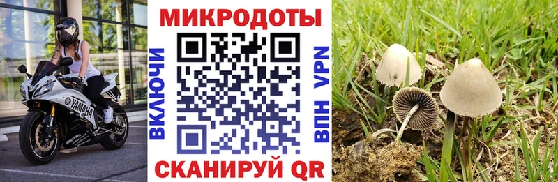 Псилоцибиновые грибы MAGIC MUSHROOMS  Ртищево 